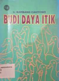 Budidaya Itik